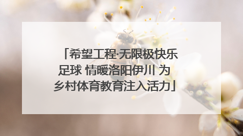 希望工程·无限极快乐足球 情暖洛阳伊川 为乡村体育教育注入活力