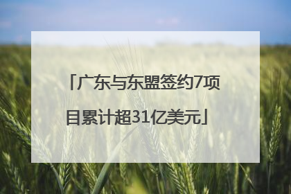 广东与东盟签约7项目累计超31亿美元