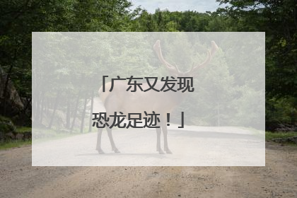 广东又发现恐龙足迹！