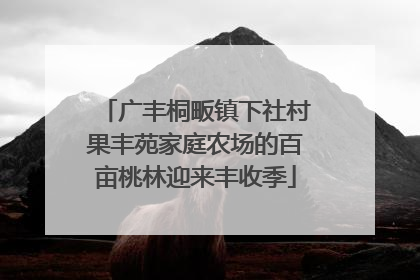 广丰桐畈镇下社村果丰苑家庭农场的百亩桃林迎来丰收季