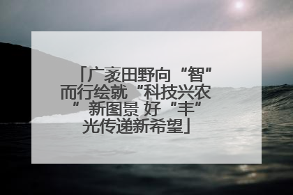 广袤田野向“智”而行绘就“科技兴农”新图景 好“丰”光传递新希望