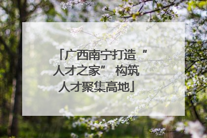 广西南宁打造“人才之家” 构筑人才聚集高地