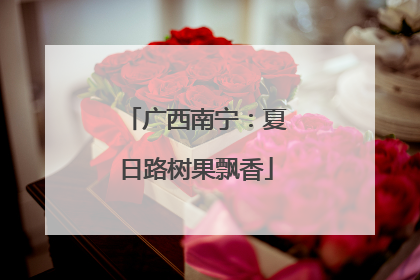 广西南宁：夏日路树果飘香