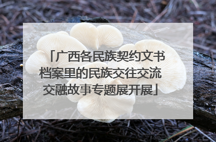 广西各民族契约文书档案里的民族交往交流交融故事专题展开展