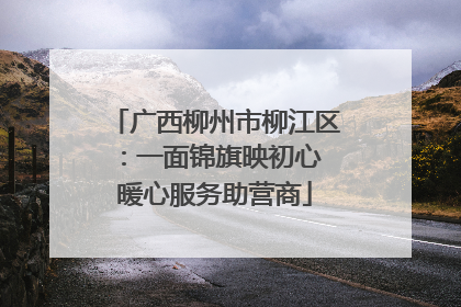 广西柳州市柳江区：一面锦旗映初心 暖心服务助营商
