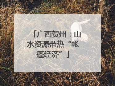 广西贺州：山水资源带热“帐篷经济”