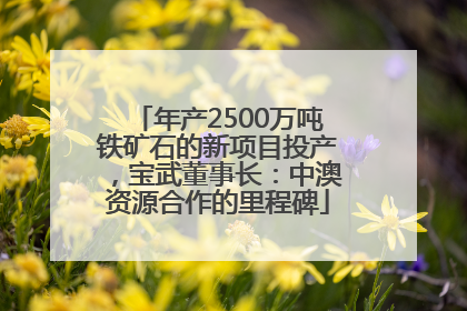 年产2500万吨铁矿石的新项目投产，宝武董事长：中澳资源合作的里程碑