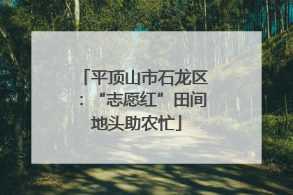 平顶山市石龙区：“志愿红”田间地头助农忙