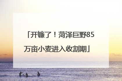 开镰了！菏泽巨野85万亩小麦进入收割期
