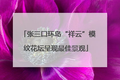 张三口环岛“祥云”模纹花坛呈现最佳景观