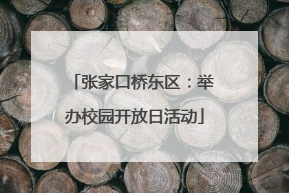张家口桥东区：举办校园开放日活动