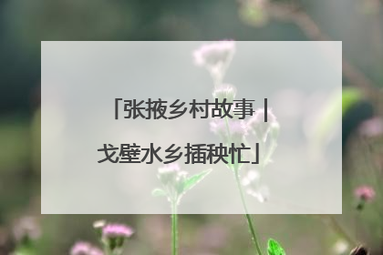 张掖乡村故事｜戈壁水乡插秧忙