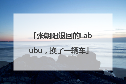 张朝阳退回的Labubu，换了一辆车