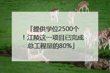 提供学位2500个！江陵这一项目已完成总工程量的80%