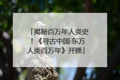 揭秘百万年人类史！《寻古中国·东方人类百万年》开播