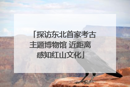 探访东北首家考古主题博物馆 近距离感知红山文化