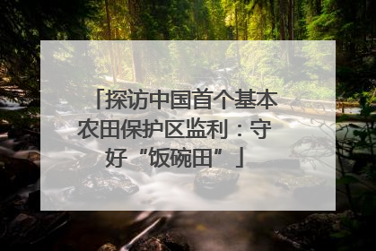 探访中国首个基本农田保护区监利：守好“饭碗田”