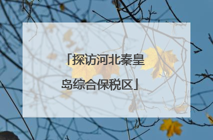 探访河北秦皇岛综合保税区