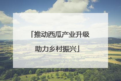 推动西瓜产业升级 助力乡村振兴