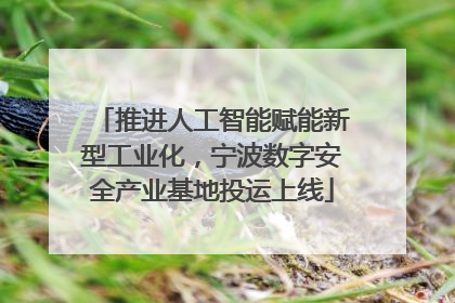 推进人工智能赋能新型工业化，宁波数字安全产业基地投运上线