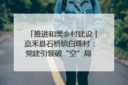 推进和美乡村建设｜嘉禾县石桥镇白珠村：党建引领破“空”局 乡贤聚力绘就新图景