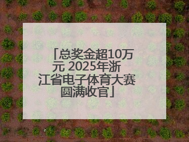 总奖金超10万元 2025年浙江省电子体育大赛圆满收官