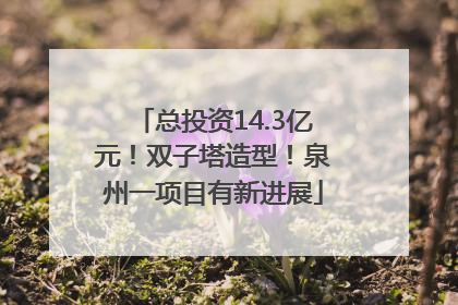总投资14.3亿元！双子塔造型！泉州一项目有新进展