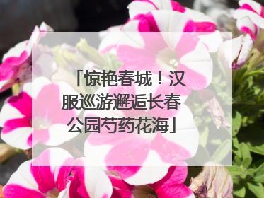 惊艳春城！汉服巡游邂逅长春公园芍药花海
