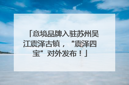 意境品牌入驻苏州吴江震泽古镇，“震泽四宝”对外发布！