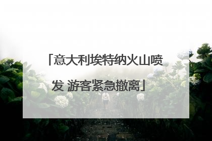 意大利埃特纳火山喷发 游客紧急撤离