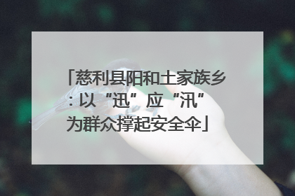 慈利县阳和土家族乡：以“迅”应“汛” 为群众撑起安全伞