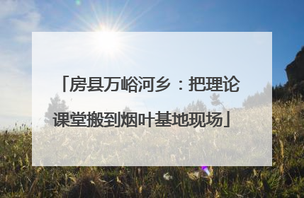 房县万峪河乡：把理论课堂搬到烟叶基地现场