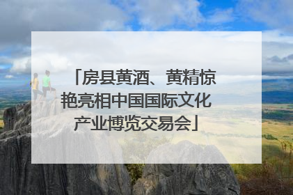 房县黄酒、黄精惊艳亮相中国国际文化产业博览交易会