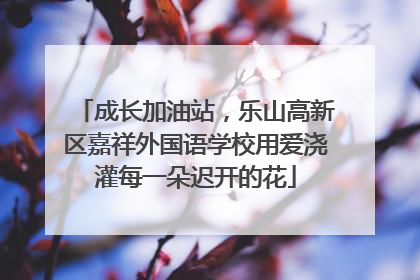 成长加油站，乐山高新区嘉祥外国语学校用爱浇灌每一朵迟开的花