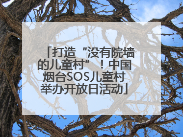 打造“没有院墙的儿童村”！中国烟台SOS儿童村举办开放日活动