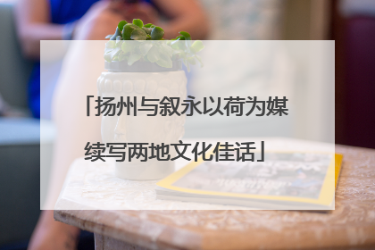 扬州与叙永以荷为媒续写两地文化佳话