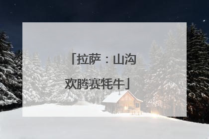 拉萨：山沟欢腾赛牦牛