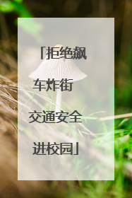 拒绝飙车炸街 交通安全进校园