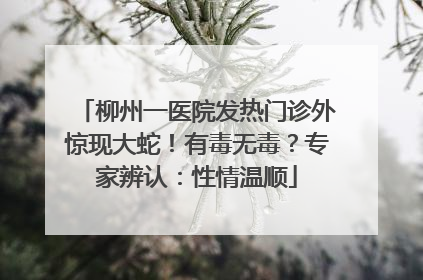 柳州一医院发热门诊外惊现大蛇！有毒无毒？专家辨认：性情温顺
