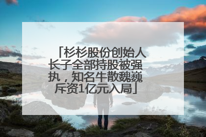 杉杉股份创始人长子全部持股被强执，知名牛散魏巍斥资1亿元入局