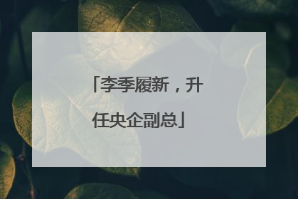 李季履新，升任央企副总