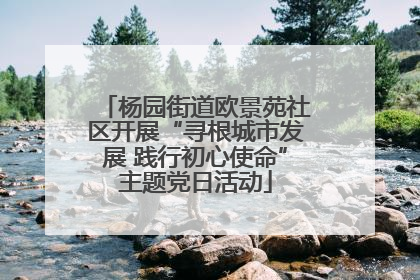 杨园街道欧景苑社区开展“寻根城市发展 践行初心使命”主题党日活动