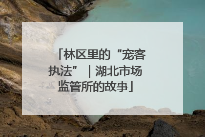 林区里的“宠客执法”｜湖北市场监管所的故事