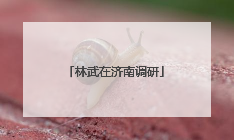 林武在济南调研