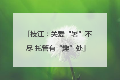 枝江：关爱“暑”不尽 托管有“趣”处