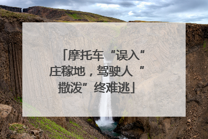 摩托车“误入”庄稼地，驾驶人“撒泼”终难逃