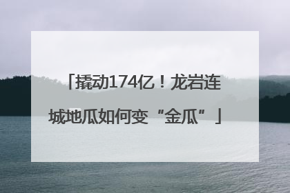 撬动174亿！龙岩连城地瓜如何变“金瓜”