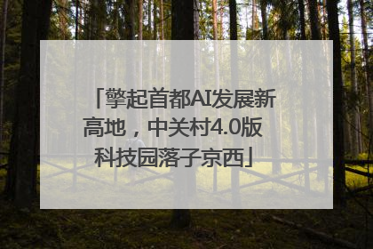 擎起首都AI发展新高地，中关村4.0版科技园落子京西