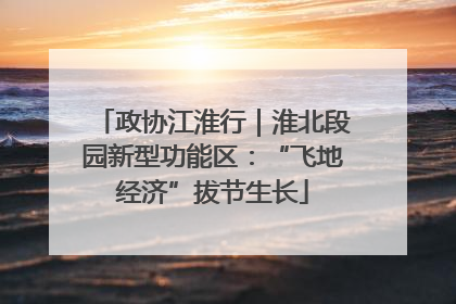 政协江淮行｜淮北段园新型功能区：“飞地经济”拔节生长