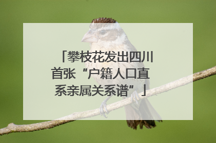 攀枝花发出四川首张“户籍人口直系亲属关系谱”